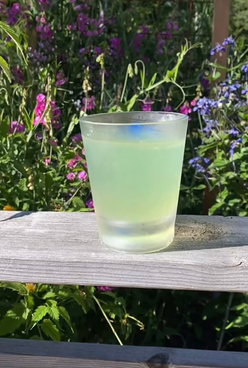 Isglass på sockerfri saft